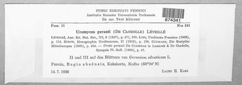 Uromyces geranii image
